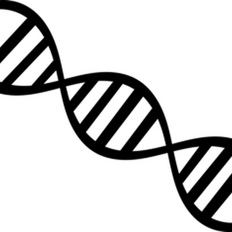 dna-gc4818abf7_640