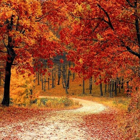 road-1072821_640